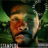 Bristol County Castro - Stampede - Single